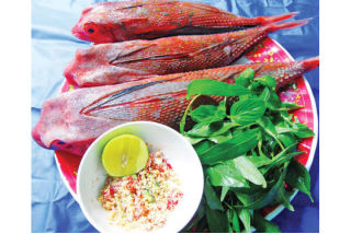 Cá Tắc Kè tươi tphcm