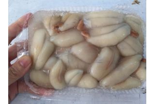 Cung cấp buôn bán trứng mực tươi giá sỉ