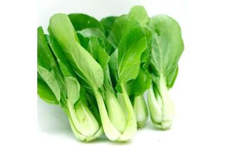 Cải ngọt hữu cơ (organic)