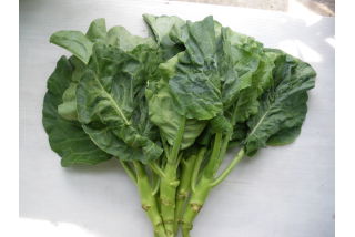Cải rổ