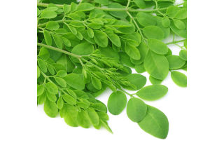 Chùm ngây (organic)